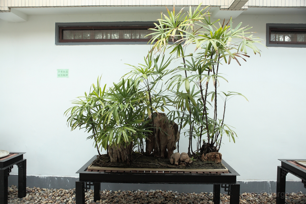 EOS 5D Mark II16_04_20135107.JPG